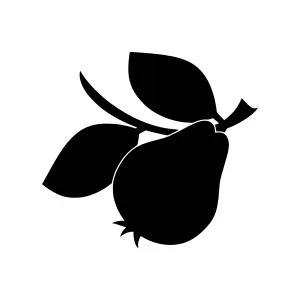 Black Pear Silhouette Vector Illustration