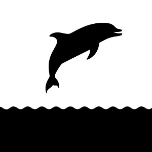 Silhouette Dolphin Jumping in Ocean