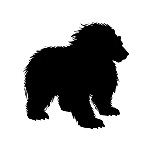 Silhouette Bear Graphic Vector Illustration