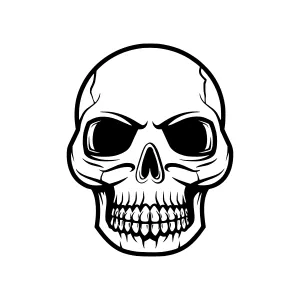 Black Silhouette Skull Illustration