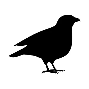 Black Crow Silhouette Vector Illustration