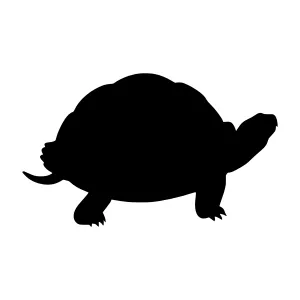 Turtle Silhouette Vector Icon