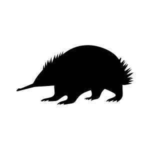 Black Emu Silhouette Vector Illustration