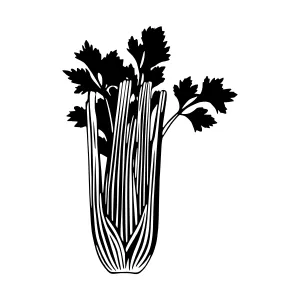 Black Silhouette Celery Graphic