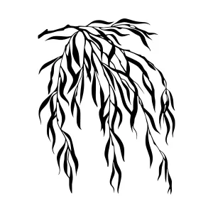 Black Willow Branch Silhouette