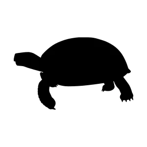 Black Turtle Silhouette Vector Graphic