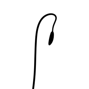 Minimalist Street Lamp Silhouette