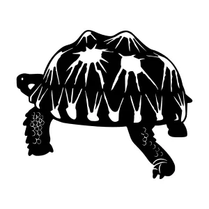 Black Silhouette Turtle Mountain Graphic