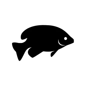 Black Fish Silhouette Vector Icon