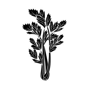 Celery Silhouette Vector Illustration