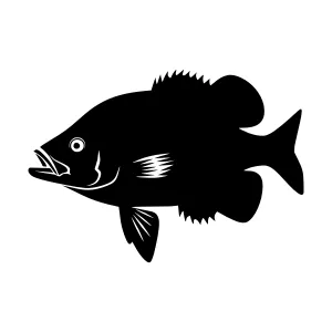Black Silhouette Fish Graphic