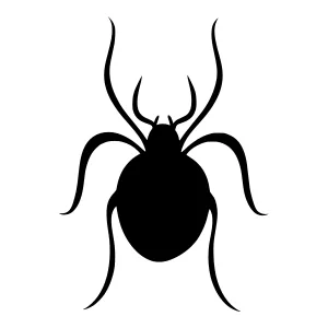 Black Spider Silhouette Vector Graphic