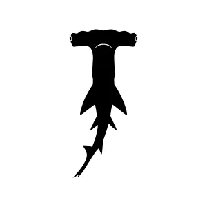 Hammerhead Shark Silhouette - Minimalist Vector
