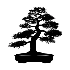 Black Silhouette Bonsai Tree