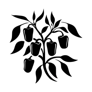 Black Pepper Branch Silhouette