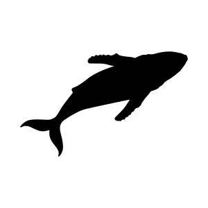 Silhouette Whale Vector Graphic