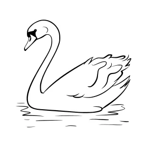 Swan Illustration - Minimalist Line Art