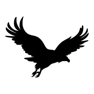 Black Eagle Silhouette - Flying Bird Graphic
