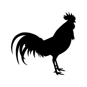 Black Rooster Silhouette Vector Illustration