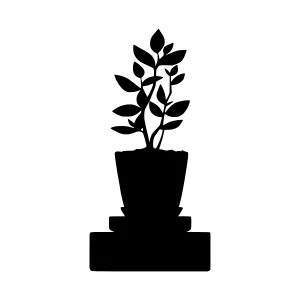 Black Plant Silhouette in Pot