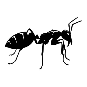 Black Ant Silhouette Vector Illustration