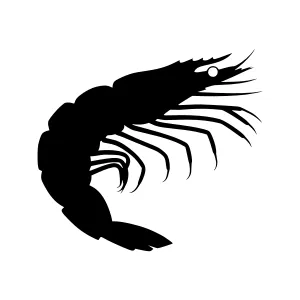 Black Shrimp Silhouette Vector Illustration