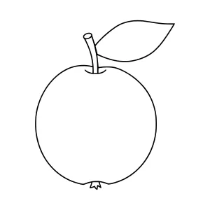 Simple Apple Outline Illustration