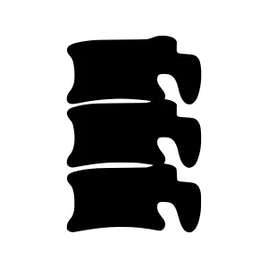 Spinal Vertebra Silhouette - Minimalist Vector