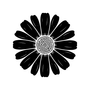 Black Daisy Silhouette Vector Illustration