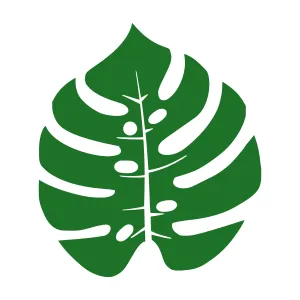 Green Monstera Leaf Vector Illustration