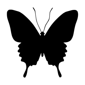 Black Butterfly Silhouette Vector Graphic