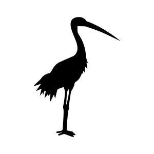 Black Stork Silhouette Vector Illustration