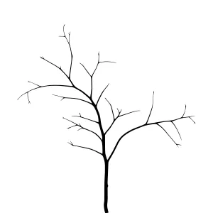 Minimalist Tree Branch Silhouette