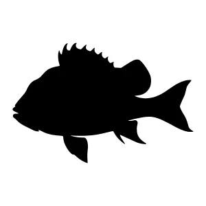 Black Fish Silhouette Vector Illustration