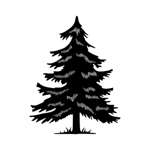 Black Silhouette Tree Graphic