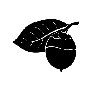 Black Walnut Leaf and Nut Silhouette