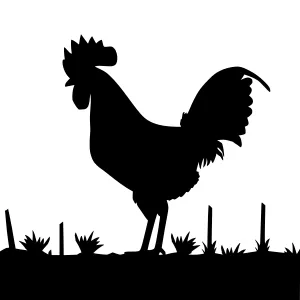 Black Rooster Silhouette - Farm Animal Graphic
