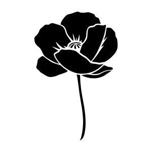 Black Poppy Silhouette on White Background