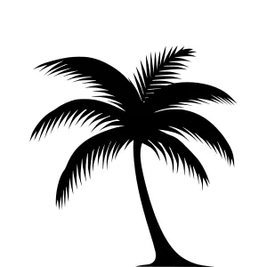 Palm Tree Silhouette Vector Illustration