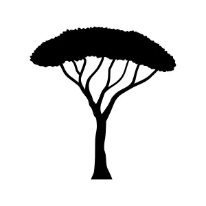 Silhouette Tree Icon - Minimalist Design