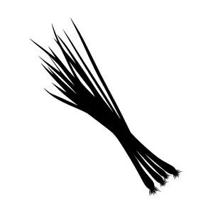 Black Onion Bunch Silhouette Vector Illustration