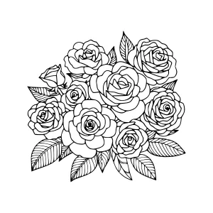 Black & White Rose Illustration - Floral Design
