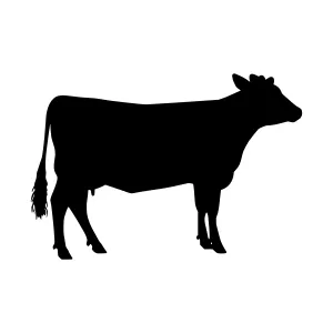 Black Cow Silhouette Vector Illustration