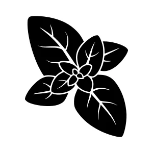 Basil Leaf Silhouette Vector Icon