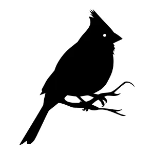 Cardinal Silhouette Vector Illustration