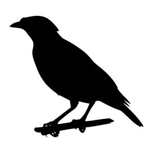 Silhouette Bird on Branch - Black Outline
