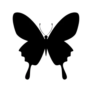 Butterfly Silhouette Vector Icon