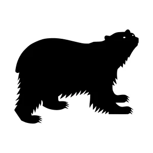 Black Bear Silhouette Vector Illustration
