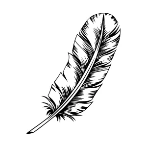 Black Feather Illustration - Vintage Style