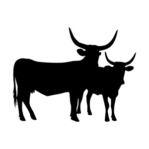Black Cattle Silhouette - Farm Animal Vector